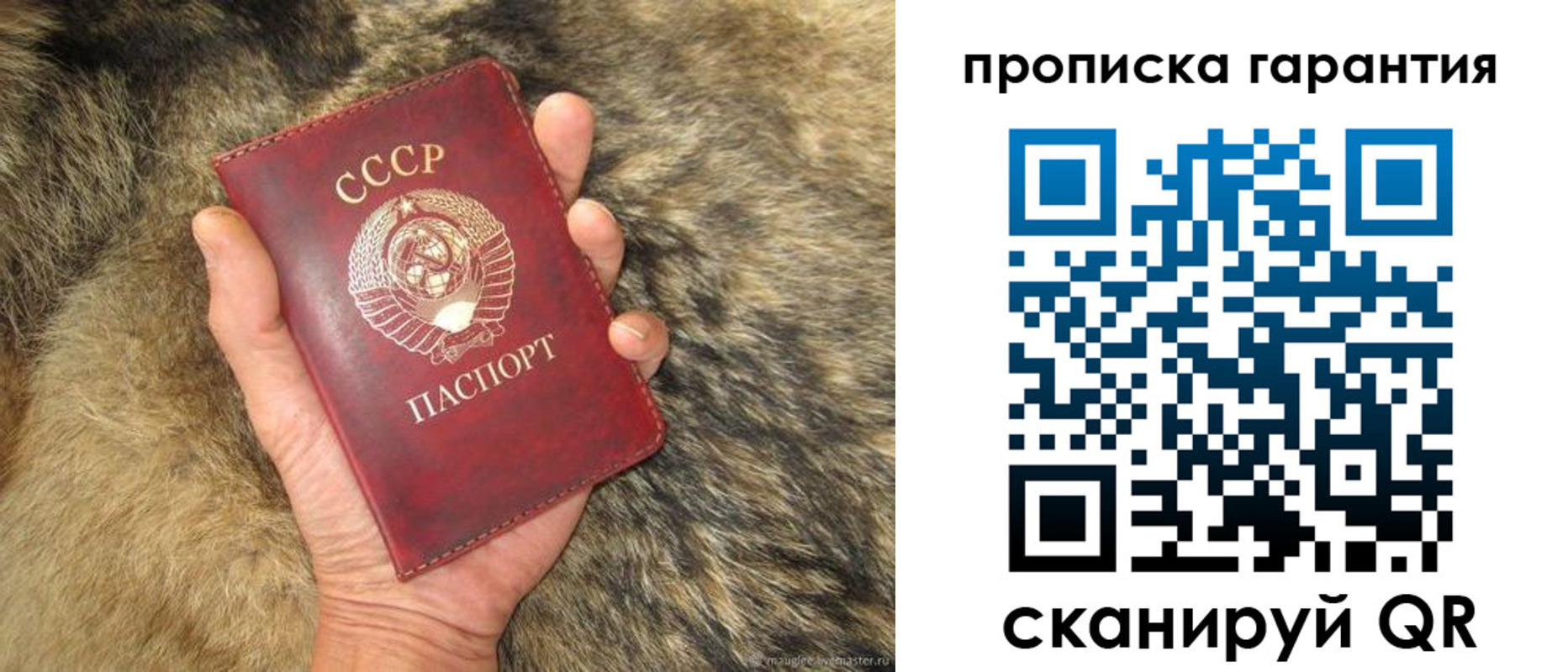 прописка паспорт в Карачеве